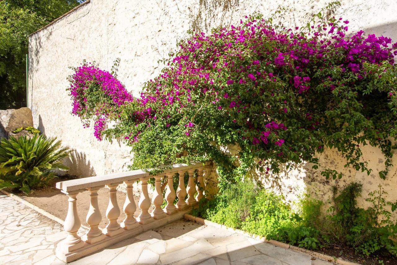 Cannes Villa Simone Exteriér fotografie